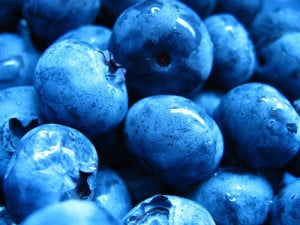 blueberries-opt